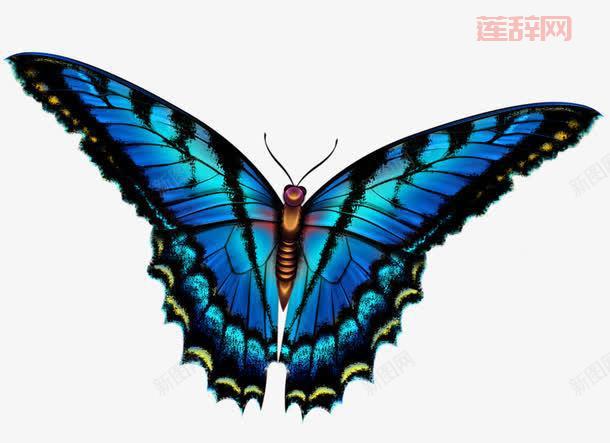 花蝶官方：搜索海量资源，下载速度快！