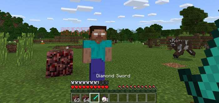 Minecrafthim传奇揭秘：Herobrine究竟是否存在？