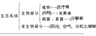 真菌的归属之谜：植物还是动物？