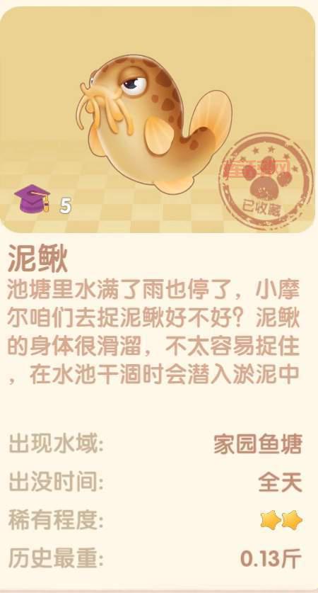 摩尔庄园怎么钓雪獭？老玩家分享实用钓鱼技巧！