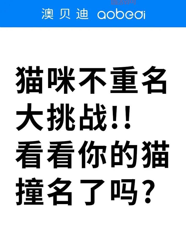猫咪最新永久地域网名更新啦！铲屎官们看过来！