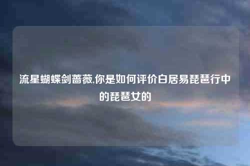 流星蝴蝶剑蔷薇,你是如何评价白居易琵琶行中的琵琶女的