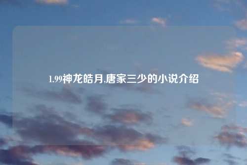 1.99神龙皓月,唐家三少的小说介绍