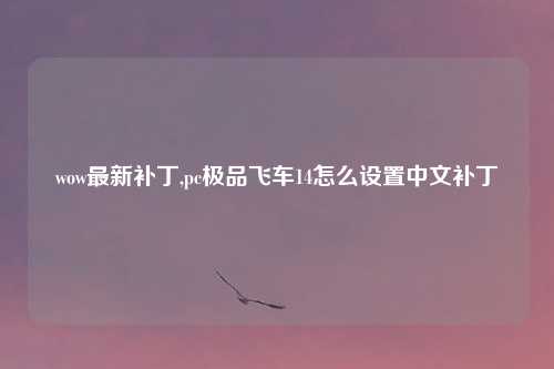 wow最新补丁,pc极品飞车14怎么设置中文补丁