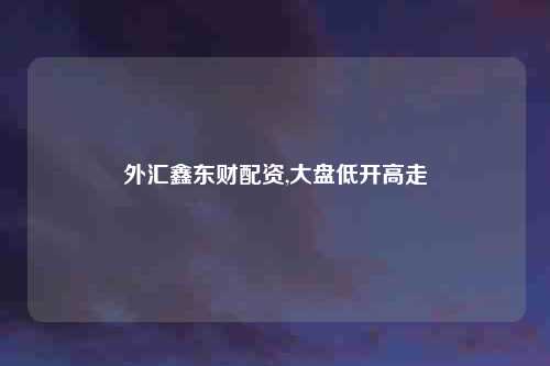 外汇鑫东财配资,大盘低开高走