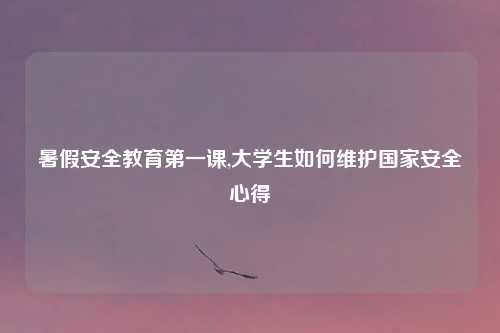 暑假安全教育第一课,大学生如何维护国家安全心得