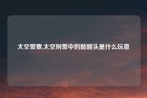 太空警察,太空刑警中的骷髅头是什么玩意