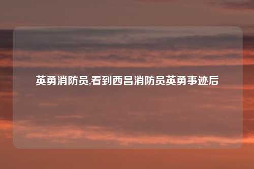 英勇消防员,看到西昌消防员英勇事迹后