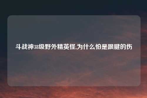 斗战神38级野外精英怪,为什么怕是跟腱的伤