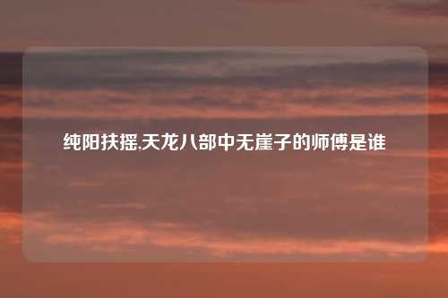 纯阳扶摇,天龙八部中无崖子的师傅是谁