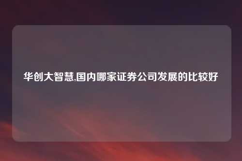 华创大智慧,国内哪家证券公司发展的比较好