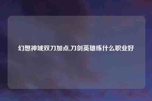 幻想神域双刀加点,刀剑英雄练什么职业好