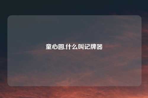 童心圆,什么叫记牌器