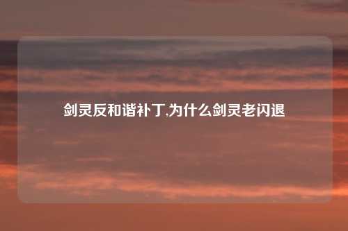 剑灵反和谐补丁,为什么剑灵老闪退