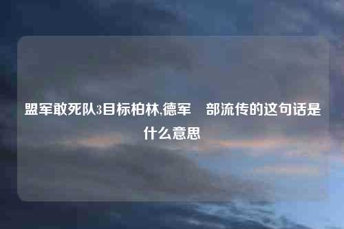 盟军敢死队3目标柏林,德军內部流传的这句话是什么意思