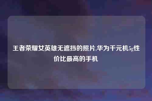 王者荣耀女英雄无遮挡的照片,华为千元机5g性价比最高的手机