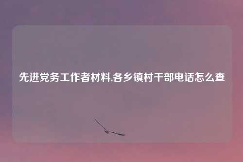 先进党务工作者材料,各乡镇村干部电话怎么查