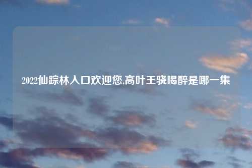 2022仙踪林入口欢迎您,高叶王骁喝醉是哪一集