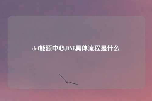 dnf能源中心,DNF具体流程是什么