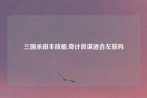三国杀田丰技能,奇计良谋适合左慈吗