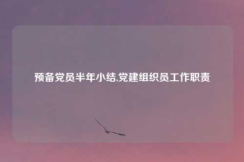 预备党员半年小结,党建组织员工作职责