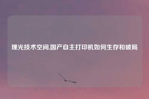 理光技术空间,国产自主打印机如何生存和破局