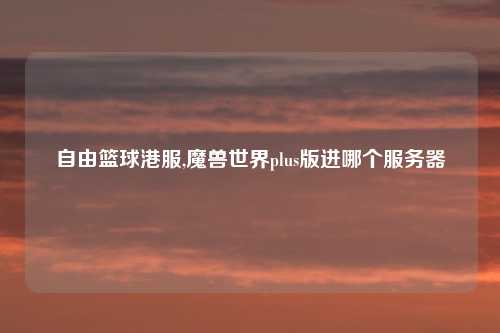 自由篮球港服,魔兽世界plus版进哪个服务器