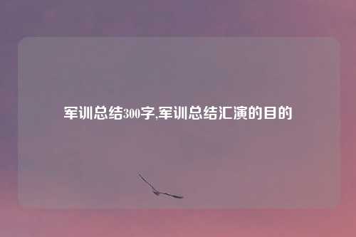 军训总结300字,军训总结汇演的目的