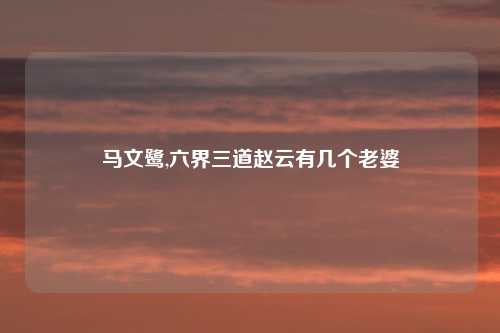 马文鹭,六界三道赵云有几个老婆