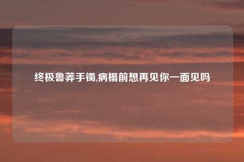 终极鲁莽手镯,病榻前想再见你一面见吗