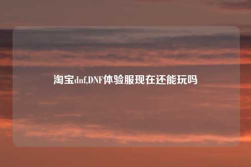 淘宝dnf,DNF体验服现在还能玩吗
