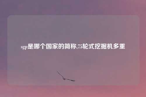 sgp是哪个国家的简称,75轮式挖掘机多重