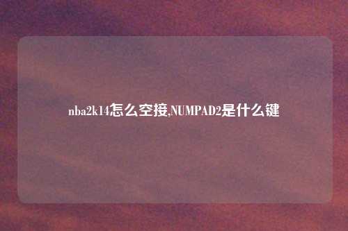 nba2k14怎么空接,NUMPAD2是什么键