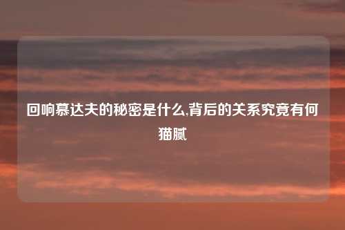 回响慕达夫的秘密是什么,背后的关系究竟有何猫腻