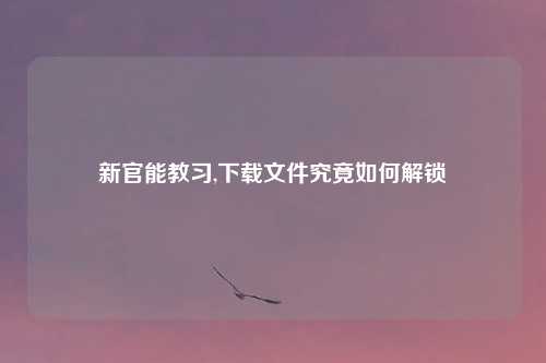 新官能教习,下载文件究竟如何解锁