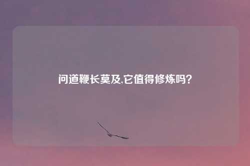 问道鞭长莫及,它值得修炼吗？
