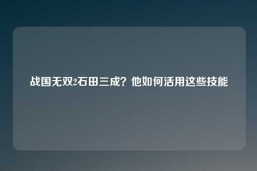 战国无双2石田三成？他如何活用这些技能