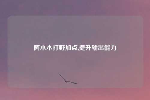 阿木木打野加点,提升输出能力
