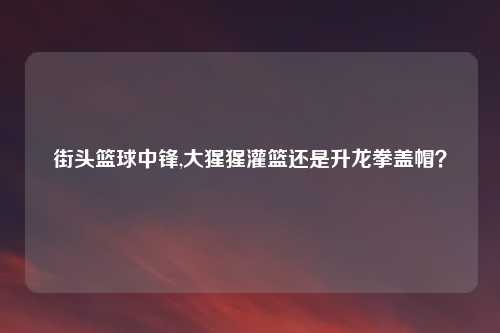 街头篮球中锋,大猩猩灌篮还是升龙拳盖帽？