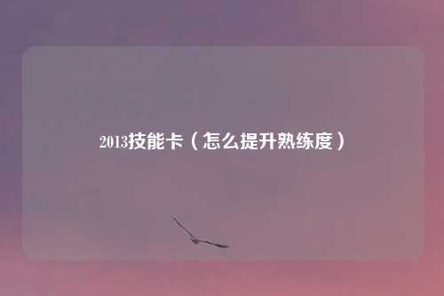 2013技能卡（怎么提升熟练度）