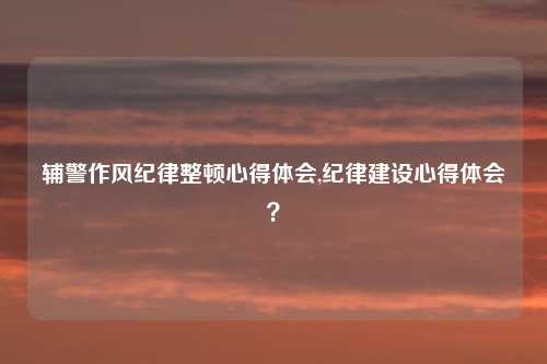 辅警作风纪律整顿心得体会,纪律建设心得体会？