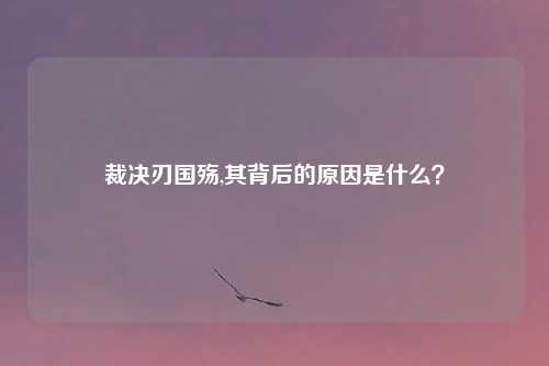裁决刃国殇,其背后的原因是什么？