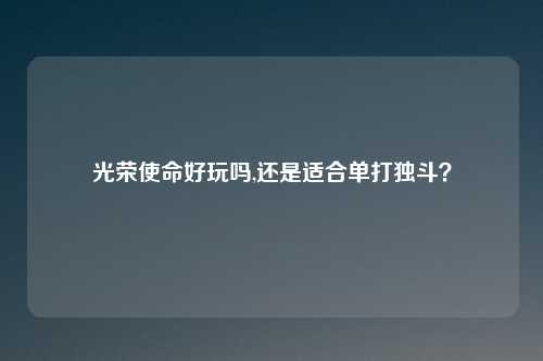光荣使命好玩吗,还是适合单打独斗？