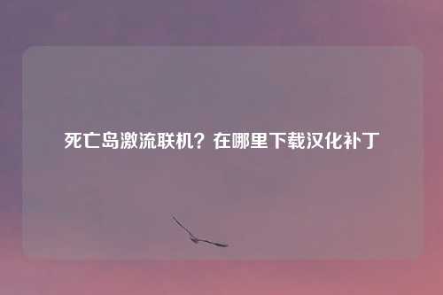 死亡岛激流联机？在哪里下载汉化补丁