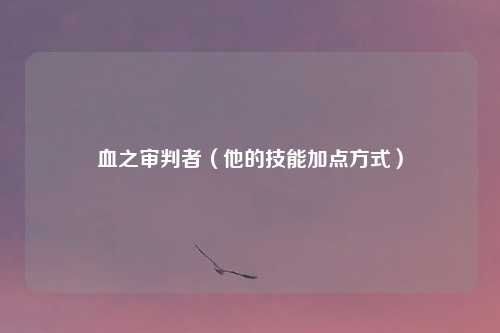 血之审判者（他的技能加点方式）