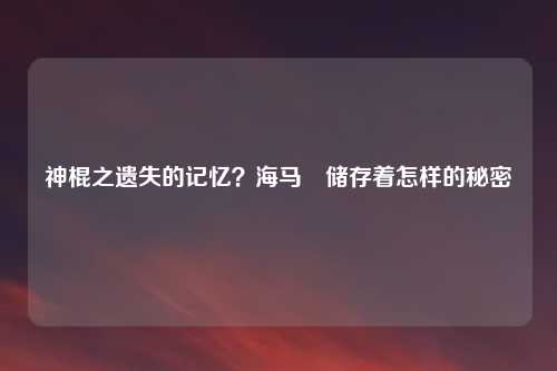 神棍之遗失的记忆？海马迴储存着怎样的秘密