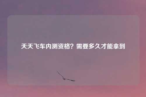 天天飞车内测资格？需要多久才能拿到
