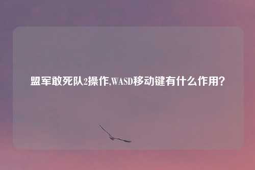盟军敢死队2操作,WASD移动键有什么作用？