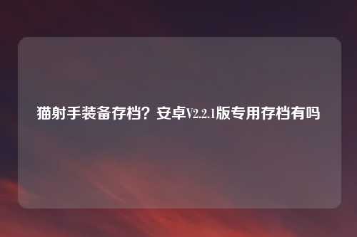 猫射手装备存档？安卓V2.2.1版专用存档有吗