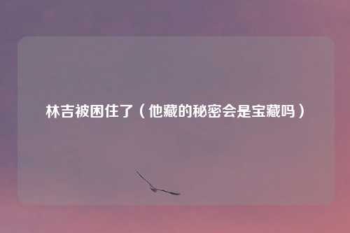 林吉被困住了（他藏的秘密会是宝藏吗）